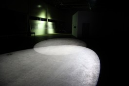 Susanne Horstkott  
       / SueHo /