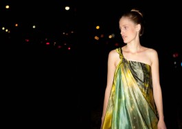 Susanne Horstkott  
       / SueHo /