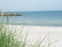 Susanne Horstkott  
       / SueHo /