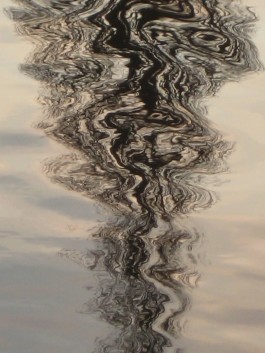 Susanne Horstkott  
       / SueHo /