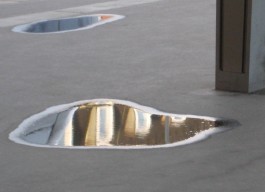 Susanne Horstkott  
       / SueHo /