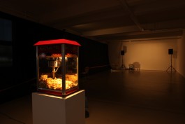 Susanne Horstkott  
       / SueHo /