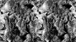 Susanne Horstkott  
       / SueHo /