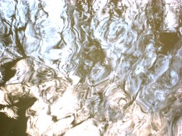 Susanne Horstkott  
       / SueHo /