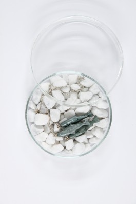 Susanne Horstkott  
       / SueHo /