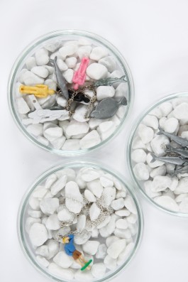 Susanne Horstkott  
       / SueHo /